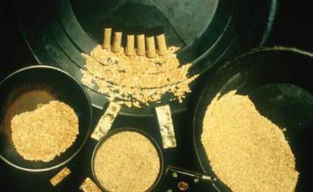  Placer Gold Ore 